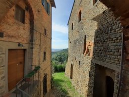 Buggiano-6