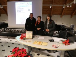 Carruggio-Loano-Natale-06
