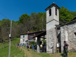 Pediclosso-01