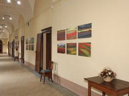 mostra_zanini_06