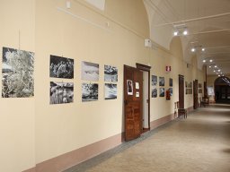 mostra_zanini_07