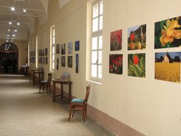 mostra_zanini_08