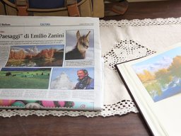 mostra_zanini_16