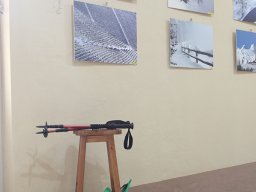 mostra_zanini_18